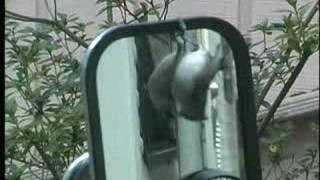 TUFTED TITMOUSE ATTACKS MIRROR