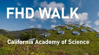 [FHD] Walk and explore California Academy of Science (Golden Gate Park, San Francisco)