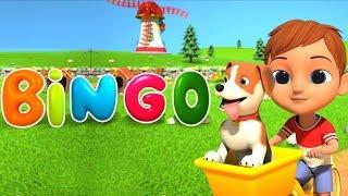 bingo a canção | crianças canções | Bingo The Song | Little Treehouse Português | Canções dos miúdos