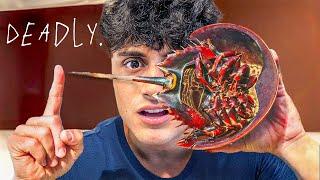 I Cooked A 450 Million Year Old Living Fossil (Horseshoe Crab)