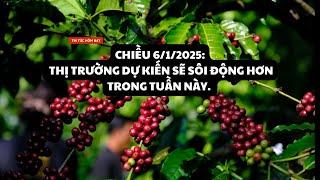 Giá cà phê chiều 6/1/2025: Thị trường dự kiến sẽ sôi động hơn trong tuần này.