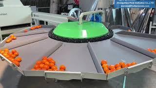 Fruit washing sorting machine, Citrus washing grading line