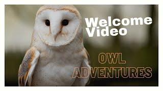 Welcome to the Owl Adventures Youtube Channel | Presented by Head Falconer, Ryan Stocks