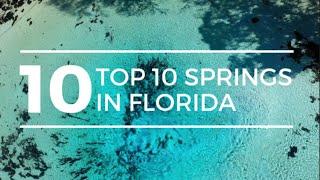 TOP 10 SPRINGS in FLORIDA | Best Florida Springs | Florida Springs | Ginnie Springs