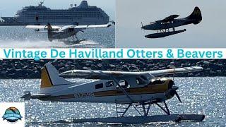 Vintage Seaplane Wonders! 9 Classic De Havilland Otters & Beavers in Action at Victoria Harbour