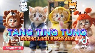 TANG TING TUNG VERSI KUCING LUCU TERBARU VIDEO KLIP BARU