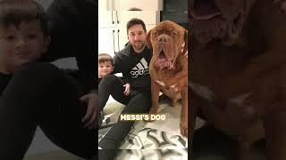 The real dog of messi . #messi #leo #cr7shorts #shorts