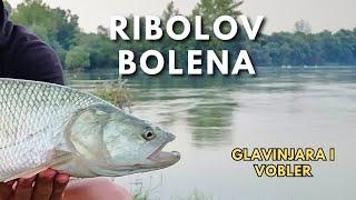 Ribolov bolena na glavinjaru - Asp Fishing on Lures