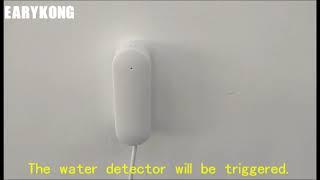 (Earykong) Tuya wifi water detector and the electric valve together protect your home garden.