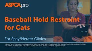 Spay/Neuter Gentle Animal Handling: Baseball Hold Restraint for Cats