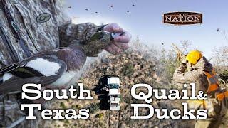 Hunting Quail and Ducks in South Texas | DU Nation