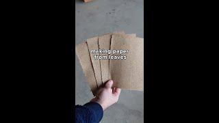 from fallen leaves to useable paper #leaves #ASMR #repurpose