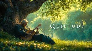 Quietude | Relaxing Fantasy Music - Medieval Ambient Music