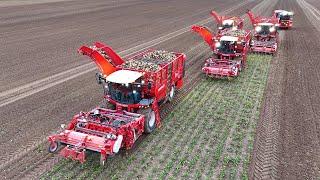 Highlights from the J Riley 2024 working demonstration with Vervaet Q-616, Beet Eater 625 and Quad