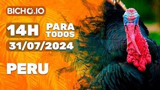 Resultado ao vivo PARATODOS # 14H - PT - 31/07/2024