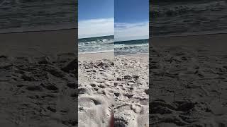 Beach Vibes in November at Gulf Shores #beach #november