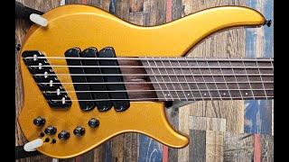 Dingwall Afterburner I 6-string with FD3 pickups, Neve preamp, Wenge neck, & Jam Pedals Ripple Falls