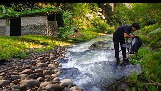 CAMPING IN HEAVY RAIN • 5 DAYS OF SURVIVAL IN THE FOREST BUILD A SHELTER • LOOK FOR FISH, EEL