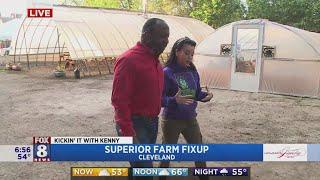 'Superior Farm Fixup' has field of weeds turning into field of dreams