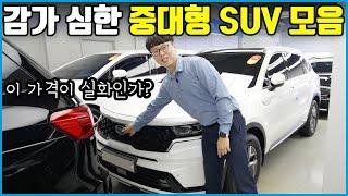 인기 절정의 중형 SUV! 어떤 차를 골라야 잘 골랐다고 소문이 날까?