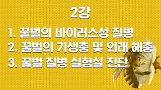 [양봉 강의] 2023 농협축산경제 꿀벌 사양관리 교육 2강