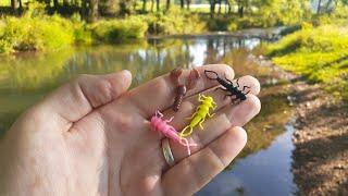 GIANT TROUT LOVE SMALL LURES || Trophy Trout Fishing!