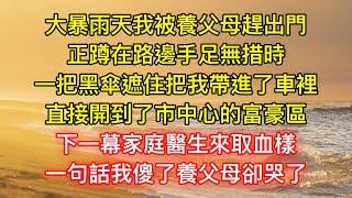 大暴雨天我被養父母趕出門，正蹲在路邊手足無措時，一把黑傘遮住把我帶進了車裡，直接開到了市中心的富豪區，下一幕家庭醫生來取血樣，一句話我傻了養父母卻哭了