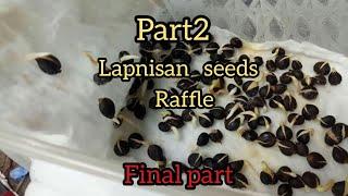 #lapnisan#agarwood#Philippines Part2 Lapnisan germinated seeds raffle