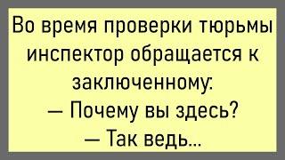 Жена Ворчит На Пьяного Мужа...Большой Сборник Смешных Анекдотов,Для Супер Настроения!