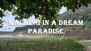 Delightful walk | walk in Paradise on earth#walkingaround #nature #walkvideo #walkthrough #walk