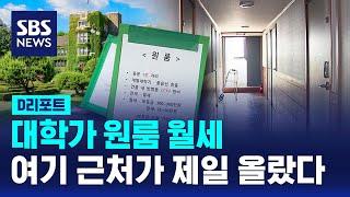 연세대 인근이 가장 많이 올랐다…대학가 원룸 월세↑ / SBS / #D리포트