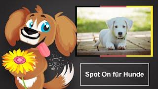  Spot On für Hunde – Gegen Flöhe und Zecken