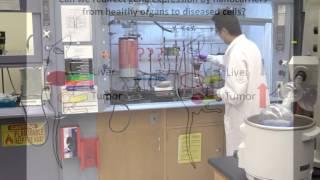 Spatial Control of Gene Expression by Nanocarriers