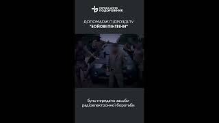 "Бойові пінгвіни" та мережа аптек "Подорожник" на захисті України 