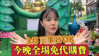 翡翠 珠寶直播 ：翡翠 直播 |3月1日 翡翠 | 玉 翡翠戒面 | 翡翠 玉手镯 | 翡翠 玉石 | 珠寶 翡翠 | 美玉 翡翠戒面 #翡翠直播 #翡翠 #珠宝 #珠寶 #翡翠珠寶 #Shorts