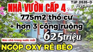 Tập 0535-D Ngộp oxy bán giá rẻ bèo nhà vườn cấp 4 + 3200m2 ruộng | Nhà vườn 365 Bình Chánh