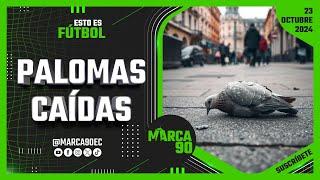 🟢 Esto es Fútbol Youtube - Pancartas ofensivas ¿Bien sancionadas?... 23/10/2024 