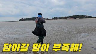 발목 깊이 바다에 많아도 너무 많은 이것!? +먹방