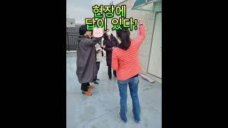 경매~  현장에  답이  있다!!!