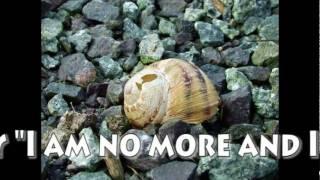 a little inspiration from beneath a few stones :D