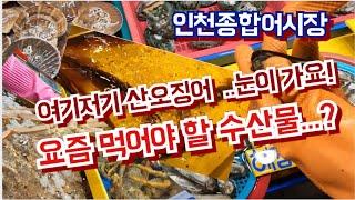 요즘 수산물뭘 먹어야 하나 ? 고민 해결  되네요.