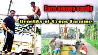 Benefits of Farming Crops || Learn Farming in India || Watermelon  & Strawberry || Bodo Vlog