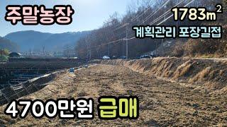 (매물번호14258) 4700만원 금산부동산 1783㎡(539) 금산땅 금산토지매매매물 시골땅 촌땅 소액땅 급매 전원주택지 주말농장 집터 대전토지 대전부동산 청주땅 옥천땅 보은땅