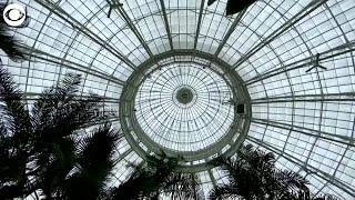 WEB EXTRA: Exhibition By Japanese Avant-Garde Artist Debuts At New York Botanical Garden