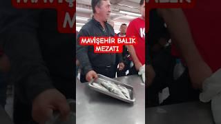MAVİŞEHİR BALIK MEZATI #balıkmezatı #balık #mezat #fish #deniz #fishing #balıkavı #mavişehir #izmir