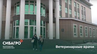 Территория СИБАГРО  Ветеринарные врачи