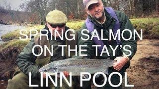 Epic spring salmon fishing on the River Tay in Perthshire - The Linn Pool on fire!