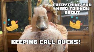 Everything you need to know about keeping call ducks! A full breed review and some helpful tips!