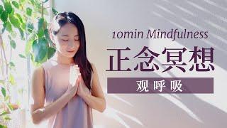 【10分钟正念呼吸冥想】改善大脑 疏解压力 提升专注度 | Yue Yoga