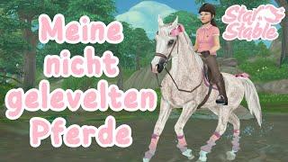 Meine Unausgelevelten Pferde 01🪴| SSO | Diese Pferde muss ich noch leveln